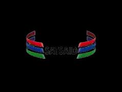 Satsaid logo